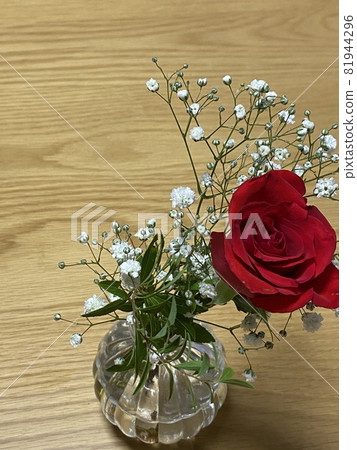 玫瑰和扇貝 玫瑰和扇貝 81944296