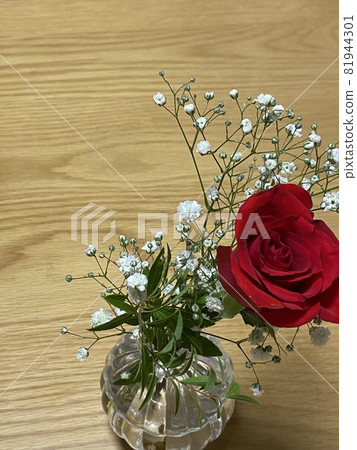 玫瑰和扇貝 81944301
