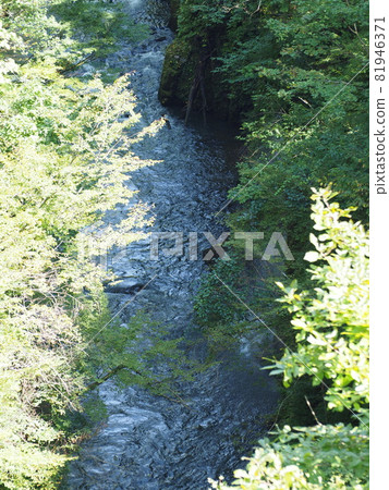 Iitoyo River [Shibata City, Niigata Prefecture] 81946371