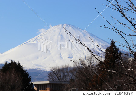 Mount Fuji Mount Fuji 81946387