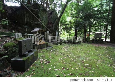 東吉野村 81947105