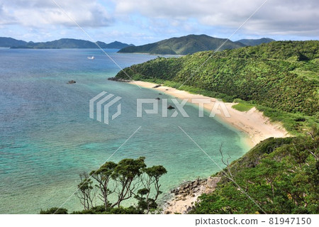 奄美大島,海灘上美麗的鯨魚海灘 奄美大島,海灘上美麗的鯨魚海灘 81947150
