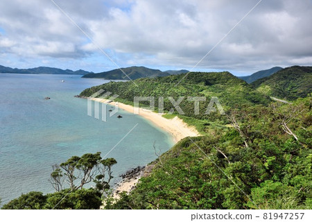 奄美大島,海灘上美麗的鯨魚海灘 奄美大島,海灘上美麗的鯨魚海灘 81947257