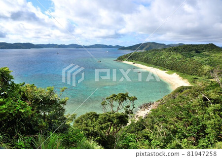 奄美大島,海灘上美麗的鯨魚海灘 奄美大島,海灘上美麗的鯨魚海灘 81947258