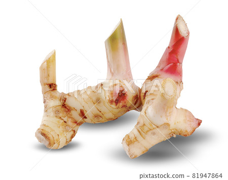 Fresh slices galangal rhizomes isolated on white background 81947864