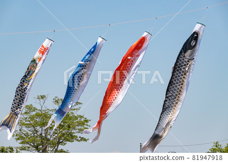 Carp streamer Chiba prefecture Japan 81947918