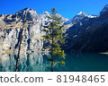 Panoramic view of Oeschinensee lake in Switzerland. 81948465