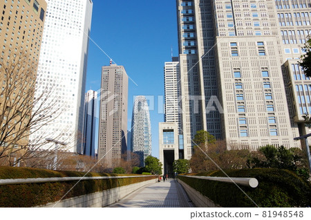 西新宿的摩天大樓(東京都新宿區) 西新宿的摩天大樓(東京都新宿區) 81948548