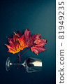 Red wine glass and grape leaves autumn composition 81949235