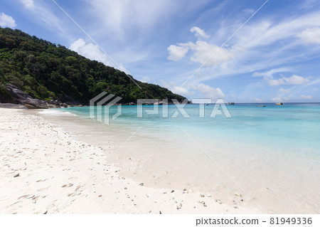 Beautiful nature of the islands in the Andaman Sea at Similan Islands, Mu Ko Similan National Park 81949336