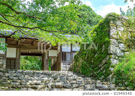Akizuki Castle Ruins in Summer Nagayamon Asakura City, Fukuoka Prefecture 81949348