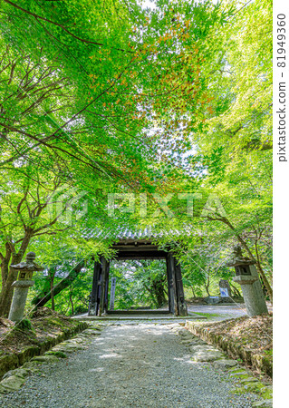 夏秋月城遺址 福岡縣黑門朝倉市 81949360