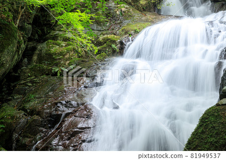 Summer Senjuin Waterfall, Itoshima City, Fukuoka Prefecture 81949537