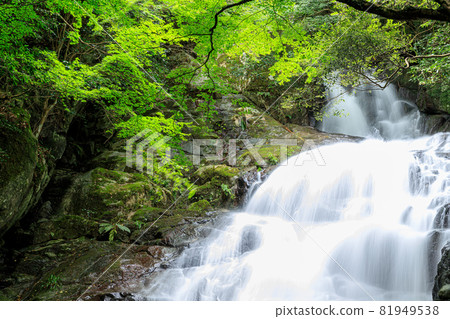 Summer Senjuin Waterfall, Itoshima City, Fukuoka Prefecture Summer Senjuin Waterfall, Itoshima City, Fukuoka Prefecture 81949538