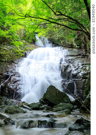 Summer Senjuin Waterfall, Itoshima City, Fukuoka Prefecture 81949540