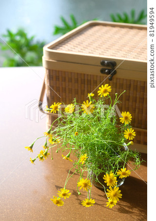 Darberg Daisy and Basket Box Darberg Daisy and Basket Box 81949594
