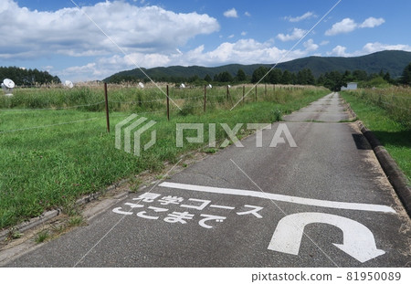 Nobeyama Radio Observatory 81950089