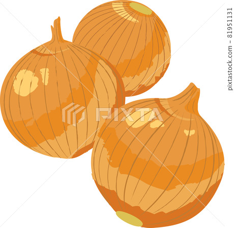 Hand-painted illustration of fresh vegetables Hand-painted illustration of fresh vegetables 81951131