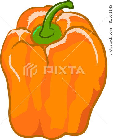 新鮮蔬菜的手繪插圖 81951145