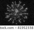 Virus image (monochrome / black and white) 81952338