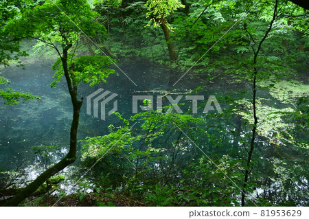[Aomori / Shirakami Mountains] Juniko Boiling Pond 81953629