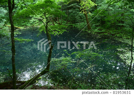 [Aomori / Shirakami Mountains] Juniko Boiling Pond 81953631