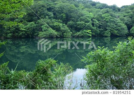 [Aomori / Shirakami Mountains] Juniko Ochiguchi Pond 81954251