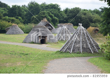 [青森] 三內丸山遺跡 81955959