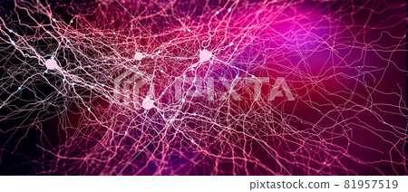 Signal transmitting neuron or nerve cell- 3d illustration 81957519
