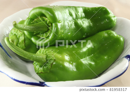 Summer seasonal vegetables, fresh peppers picked in the morning on a floral plate Summer seasonal vegetables, fresh peppers picked in the morning on a floral plate 81958317