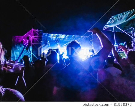 Crowd raising their hands and enjoying great festival party or concert. 81958373