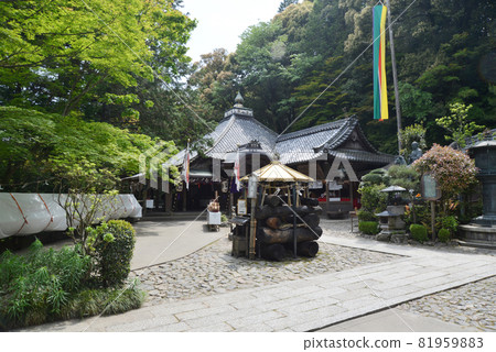 Tachiki Kannon Precincts, Otsu City, Shiga Prefecture 81959883