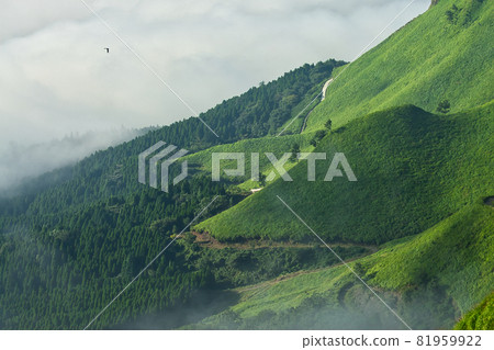熊本縣阿蘇山的晨景 81959922