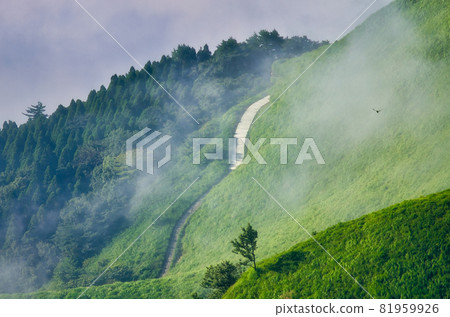 Morning scenery of Mt. Aso, Kumamoto Prefecture 81959926