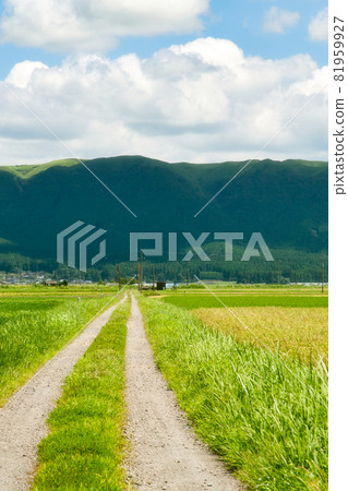 Rural scenery in Aso City, Kumamoto Prefecture 81959927