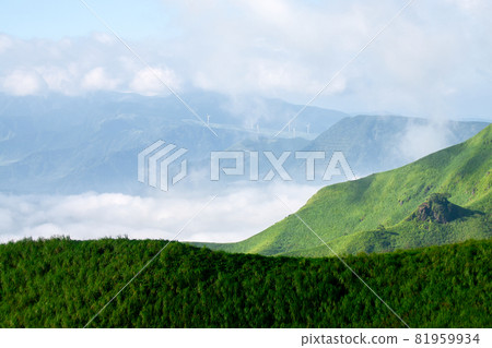 Sea of clouds and wind power generation facility in Aso, Kumamoto Prefecture 81959934