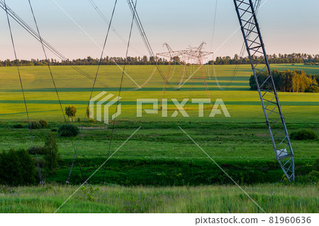 huge power line towers on field at summer evening 81960636