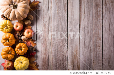 Autumn composition. Pumpkin, cotton flowers and autumn leaves on dark wooden background. Flat lay, top view with copy space Autumn composition. Pumpkin, cotton flowers and autumn leaves on dark wooden background. Flat lay, top view with copy space 81960730