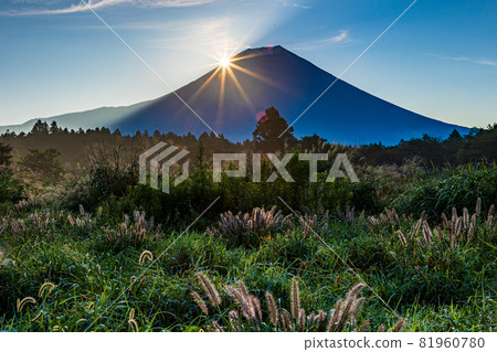 (Shizuoka Prefecture) The power of Asagiri Plateau and diamonds on the hillside of Mt. Fuji (Shizuoka Prefecture) The power of Asagiri Plateau and diamonds on the hillside of Mt. Fuji 81960780