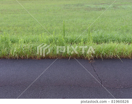 Rain-soaked grass and roads 81960826
