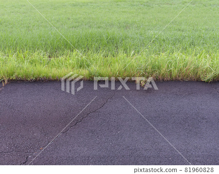 Rain-soaked grass and roads 81960828
