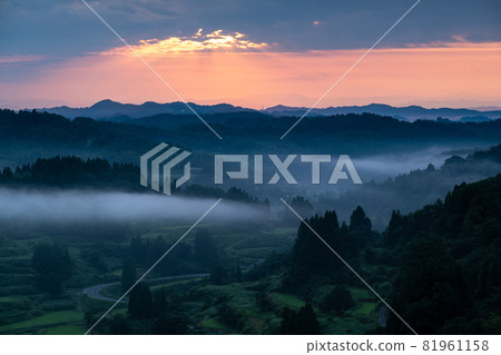 Fog Star Pass Fog Star Pass 81961158