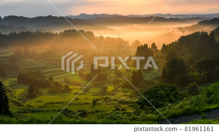 星宿霧 星宿霧 81961161