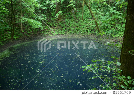 [Aomori / Shirakami Mountains] Juniko Aoike 81961769