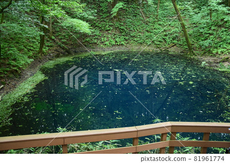 [Aomori / Shirakami Mountains] Juniko Aoike 81961774