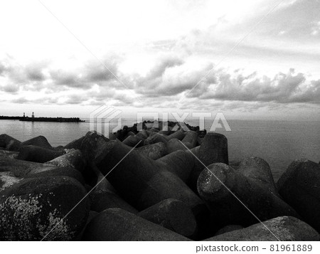 Tetra black and white Tetra black and white 81961889
