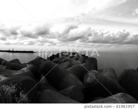 Tetra black and white monochrome 81961957