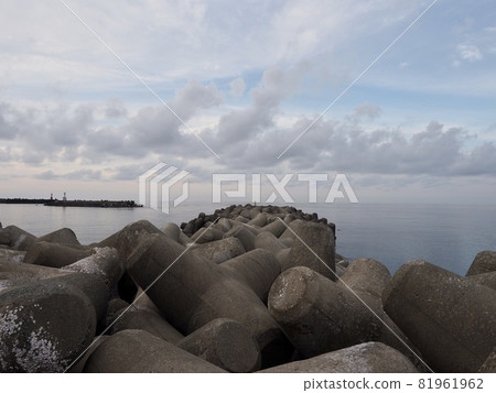 Tetrapod Tetrapod 81961962