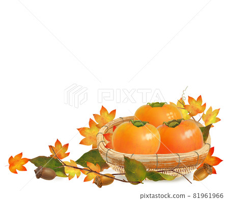籃子裡的成熟柿子、楓葉、橡子等。秋天的味道白色背景矢量插圖素材 籃子裡的成熟柿子、楓葉、橡子等。秋天的味道白色背景矢量插圖素材 81961966