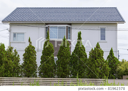 建築:有花園樹木和牆壁的房子 建築:有花園樹木和牆壁的房子 81962378